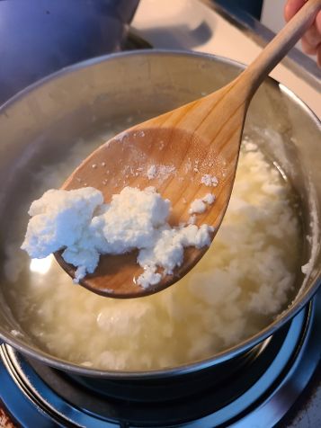Introduction to Home Cheese Making - My Frugal Nature